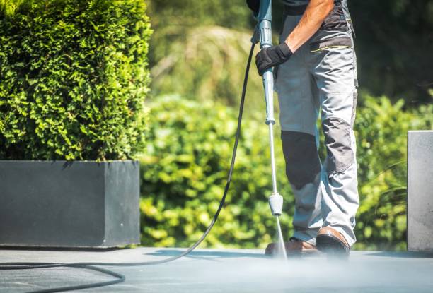 Best Fence Cleaning  in Carrabelle, FL